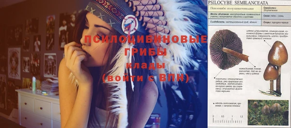 прущие крисы Алексин