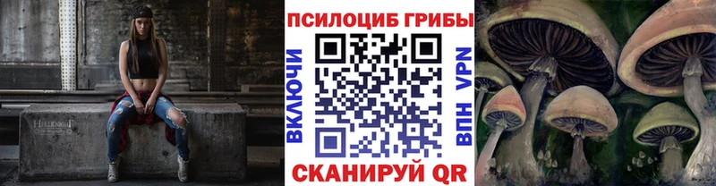MEGA   Ясный  Галлюциногенные грибы GOLDEN TEACHER  как найти закладки 